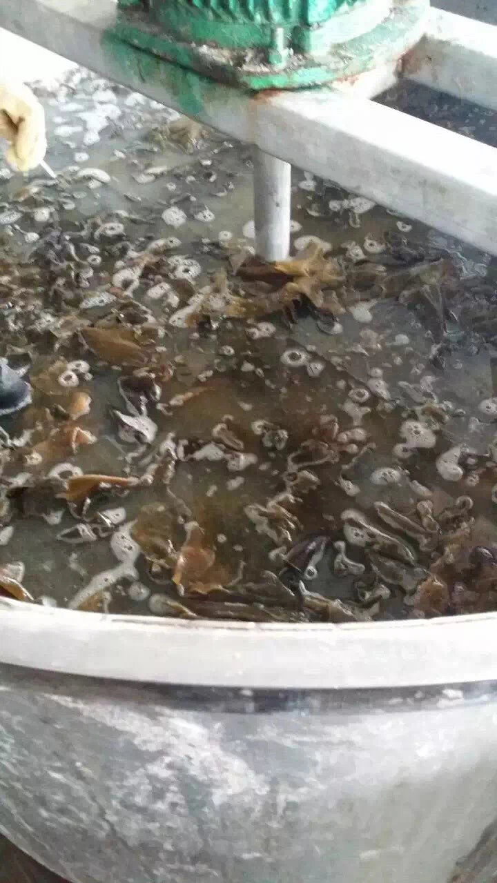 Soluble Seaweed Extract Powder